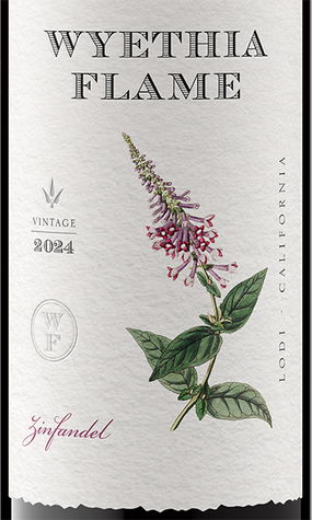 Wyethia Flame 2024 Zinfandel Lodi, California