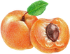 A figure representing the Apricot tasting note.