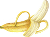 A figure representing the Banana tasting note.
