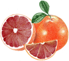 A figure representing the Blood Orange tasting note.