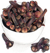 A figure representing the Cloves tasting note.
