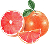 A figure representing the Grapefruit tasting note.