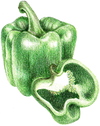 A figure representing the Green Bell Pepper tasting note.