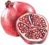 A figure representing the Pomegranate tasting note.