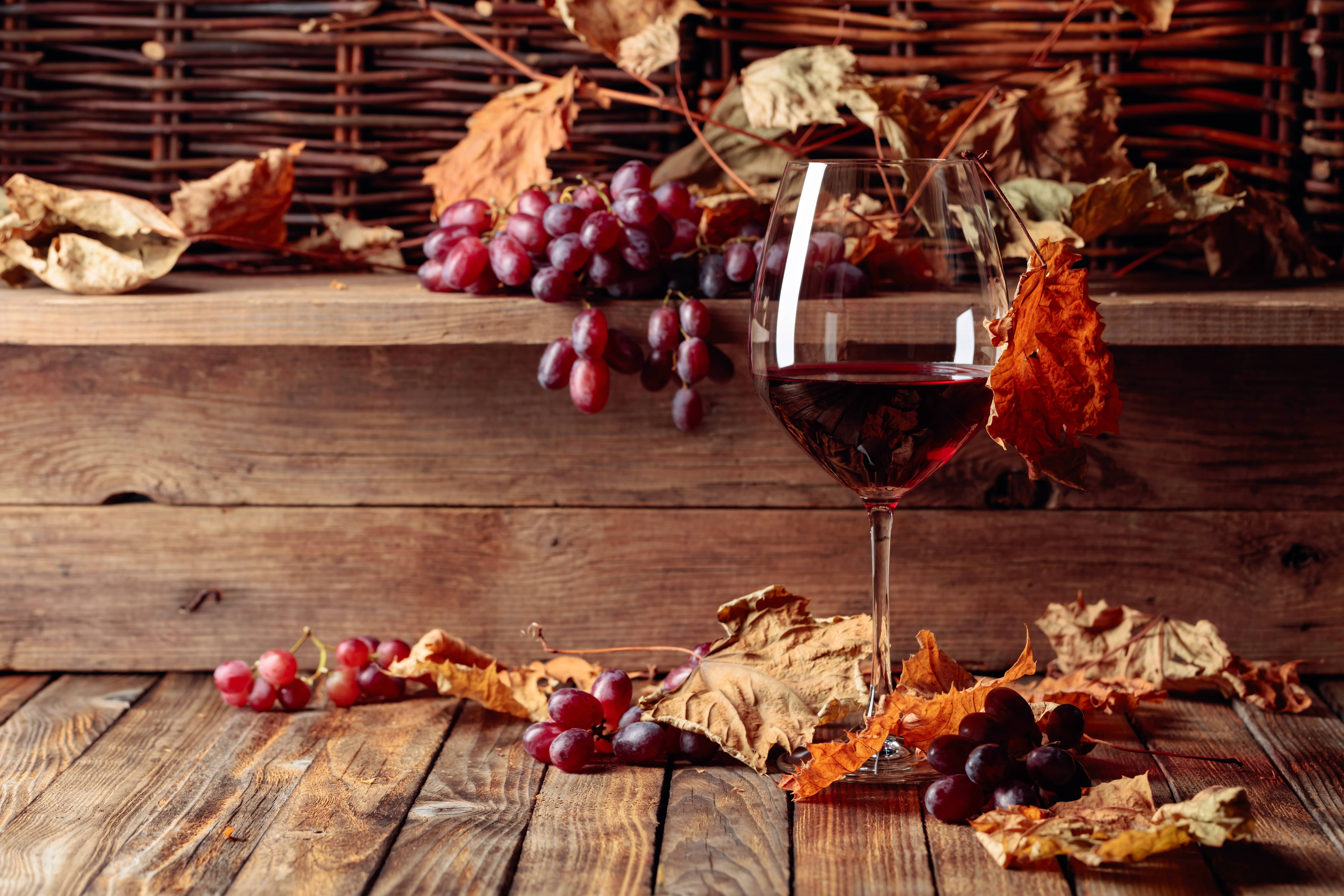 Image of a glass of red wine and red wine grapes surrounded by dry leaves