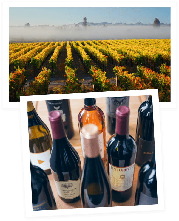 A misty vineyard with wine bottles in the foreground